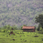 Linking welfare distribution to land records: a case-study of the Rythu Bandhu Scheme (RBS) in Telangana